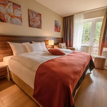 Hotel Schwarzbachtal 4*