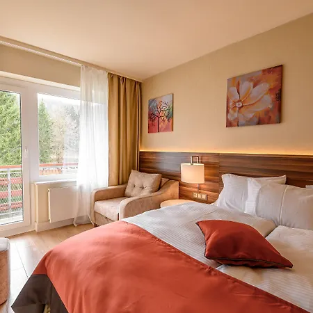 Sunday Schwarzbachtal Hideaway Resort 4* Erlbach (Saxony)