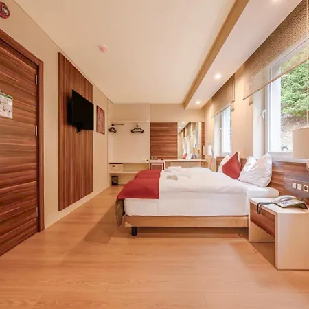 Sunday Schwarzbachtal Hideaway 4* Erlbach (Saxony)