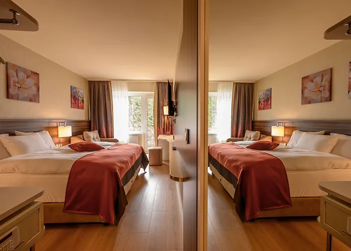 Hotel Sunday Schwarzbachtal Hideaway Erlbach (Saxony)