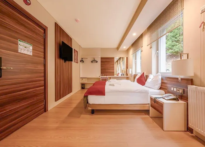 Sunday Schwarzbachtal Hideaway 4* Erlbach (Saxony)